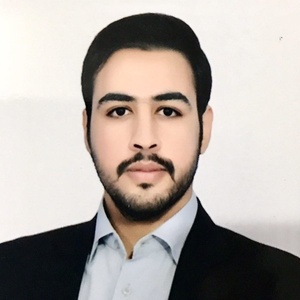 مهدی مفید