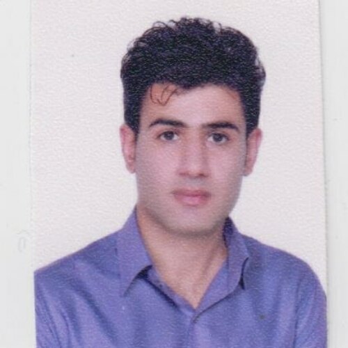 احمد رضا رزمی هوشیاری