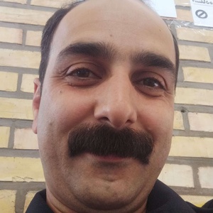 جواد محمدی گرجی