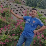 حسین بی بانی