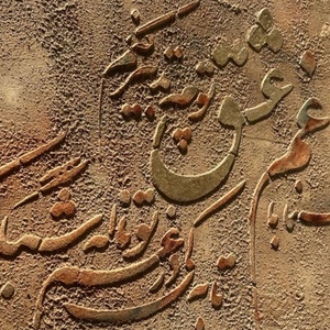 نرجس مقدم نژاد