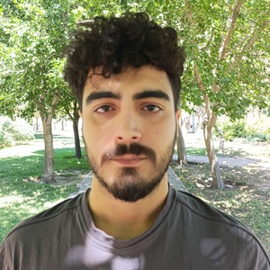 علی شرفی