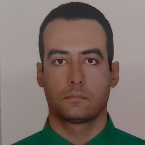 محمد صفاریان ثانی