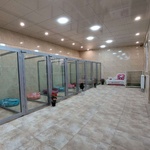 هتل پانسیون سگ کیا