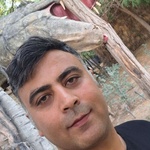رضا حامدیان