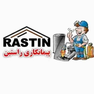 امیر رضا راستین