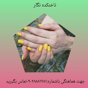 نازنین نبی