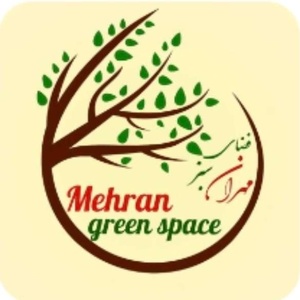 مهران کریمی