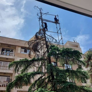 سیدعلی کلانتری