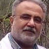 رضا محمدصالحی