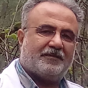 رضا محمدصالحی