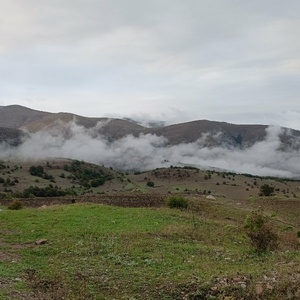 سامان سلمانی