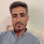 محمودعلی پناهی فرد