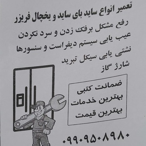 پیمان شکری