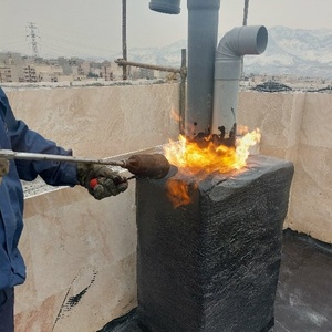مجتبی نجفی