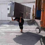 مرتضی حسینی احمد فداله