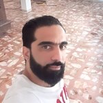 بردیا هاشمی