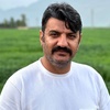 علی کیان
