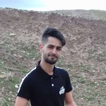 مهران عباسی سنجدری