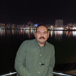 آریا حامدی