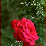 محمد طاهرکی