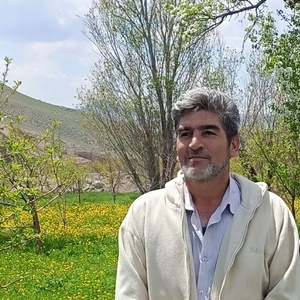 فردین غیبی