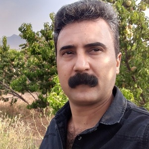 بهزاد مشایخی دارانی