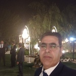 سیاوش عباسی