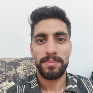 محمد مهدی صادقی نسب