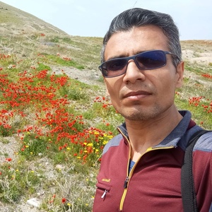 قاسم  ستاری