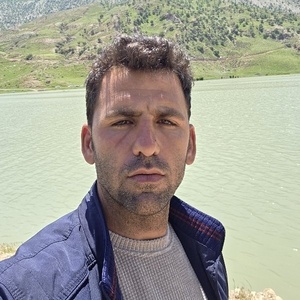 علی کوشکی
