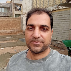 مجتبی فلاحی