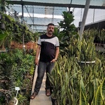 علی زمانی