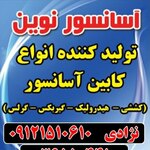 محسن نژادی