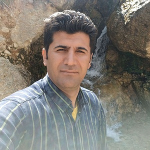 محمود سالاروند