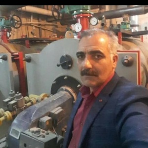 محمود بخشی