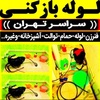 محمدعلی رحیمی نیک