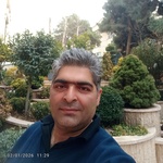 سینا منصوری