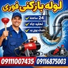 سیده زینب حسینی