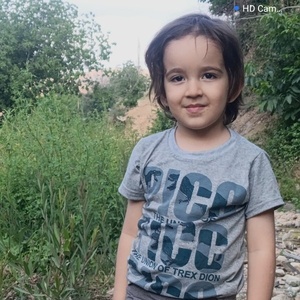 محمد ستوده