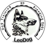 مجموعه لئوداگ