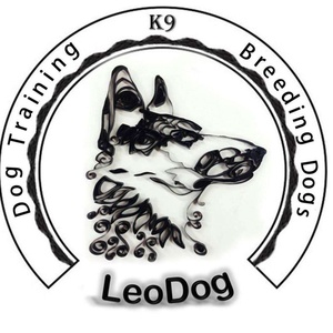 مجموعه لئوداگ