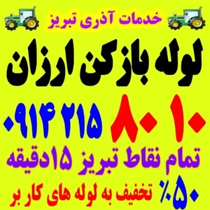 کریم طالبی