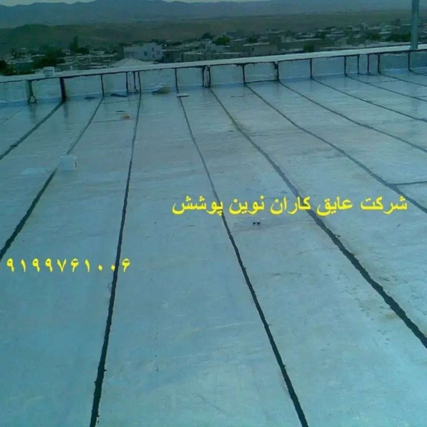 ایوب کرمی
