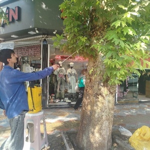 صادق سبحانی