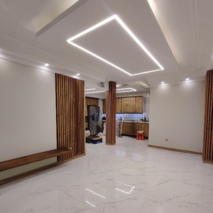 فردین میری