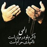 سعید مرادی