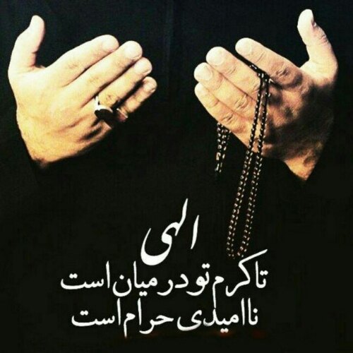 سعید مرادی