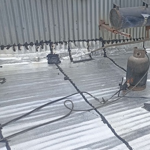 معصومه  خضرلو 