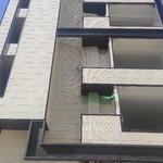 علی محمدی